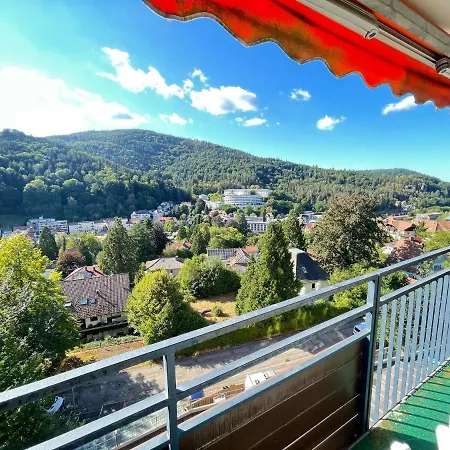 Apartment Delightful In Brecon With Terrace *